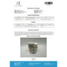 MENTOLAD 50 MG/ML (TRESTOLONE ACETATE) 10ML VIAL | Powerful Anabolic | Driada Medical | DriadaShop